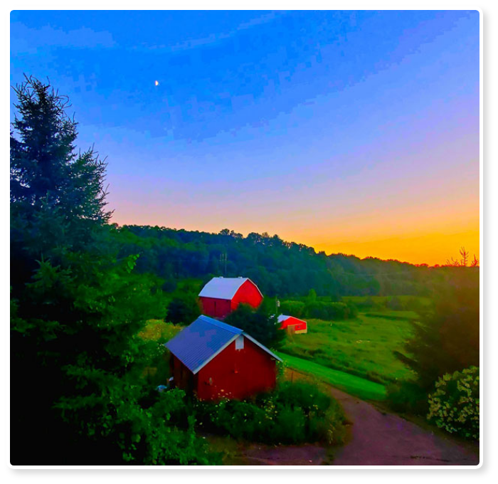 Overlooking barns on the farm during sunset