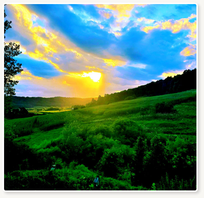 Sunset over a farm pasture